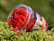 Berkley Softbait Zuckm?�?ckenlarven Maxi, 100 St?�?ck im Glas