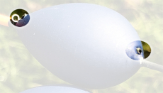 Sensas Pose Castrejone, 0.4 - 4 Gramm Schnurinnenführung, Hohlantenne, Abverkauf