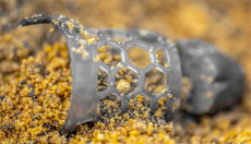 Preston Hexmesh Plastic Bullet Feeder Small 20-50 Gramm, Abverkauf