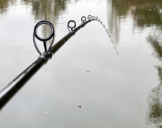 Sensas Feederrute Black Arrow 600, 3.60m 60-100 Gramm mit 2.5mm Spitzen, Modell 2022 (copy)