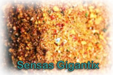 Sensas Gigantix große Fische 1kg Tüte, MHD 10/2027