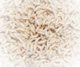 Ignesti Thermo Madenbeutel 3L (thermo maggot bag)