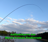 Maver EVANON FEEDER 3.00m 50 Gramm, 4 Carbonspitzen mit 2.2mm, 2-teilig, Messepreis!