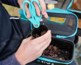 RIVE Wurmschere mit Doppelklinge, titanbeschichtet, Modell 2025/2026