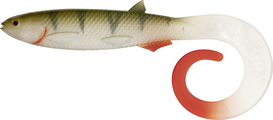 Quantum Yolo Curly Shad real-touch perch